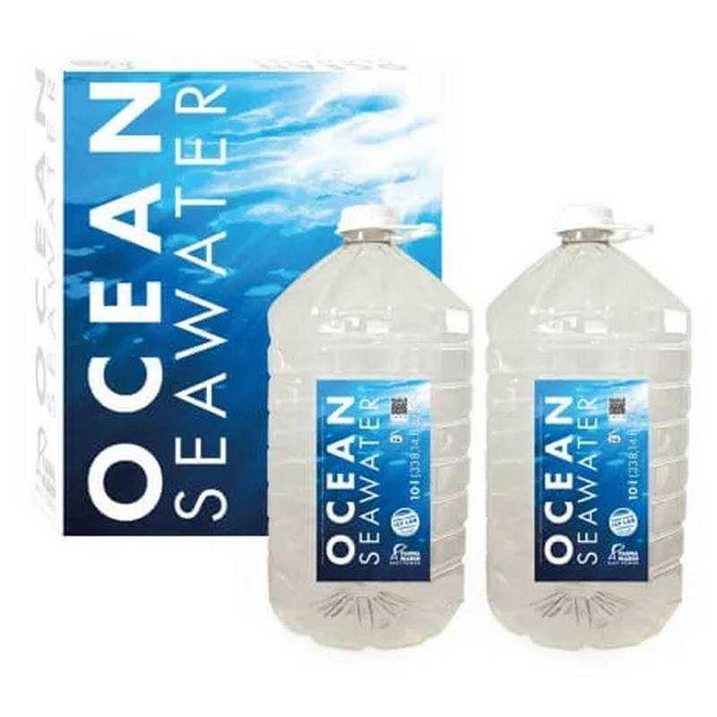 Ocean Seawater Fauna Marin