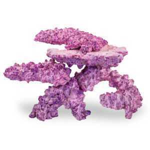 Nano Rock, Aquaforest