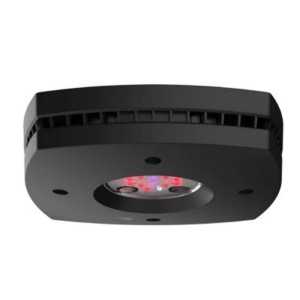 AI Prime 16 Fuge black