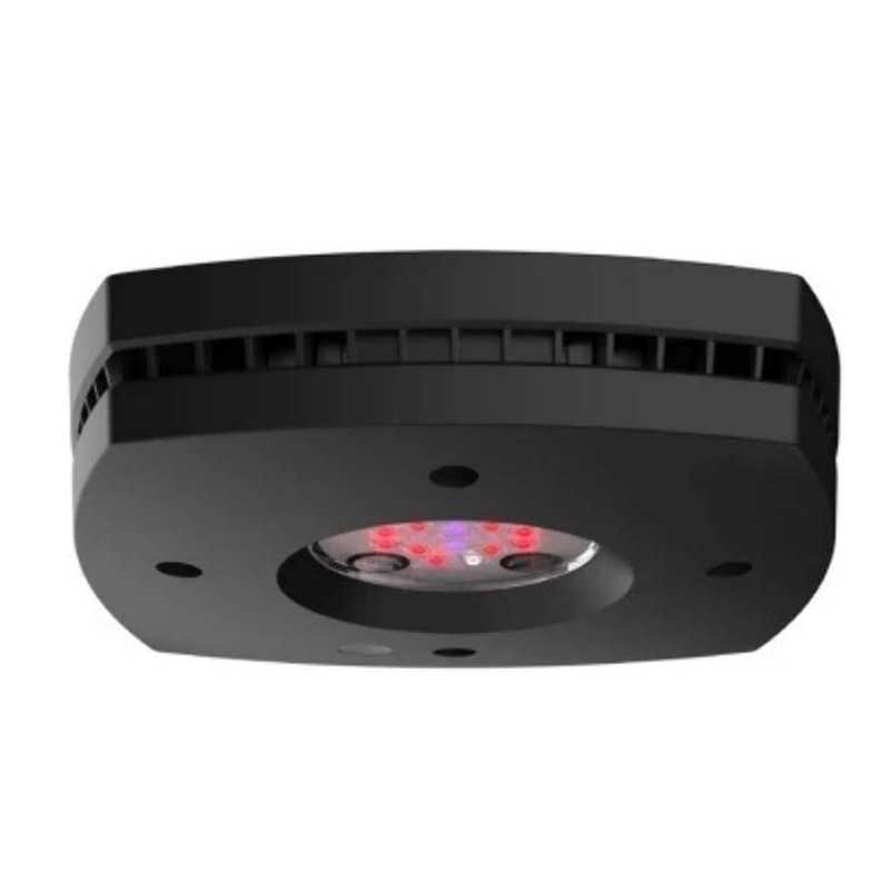 AI Prime 16 Fuge black