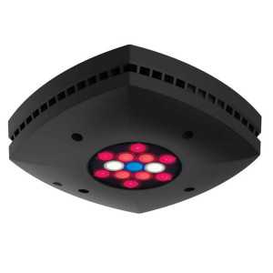 AI Prime 16 Fuge black