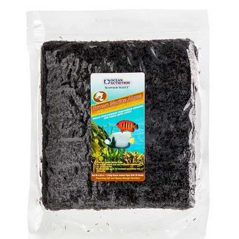 BROWN Seaweed Bulk de 50 hojas. Ocean Nutrition
