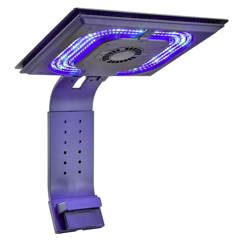 MAXSPECT Ethereal Infinite E8-150