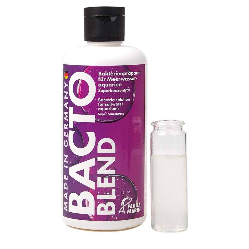 Bacto Blend 250ml