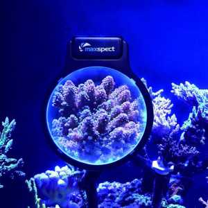 MAXSPECT, PASTEL REEF MAGNIFIER L