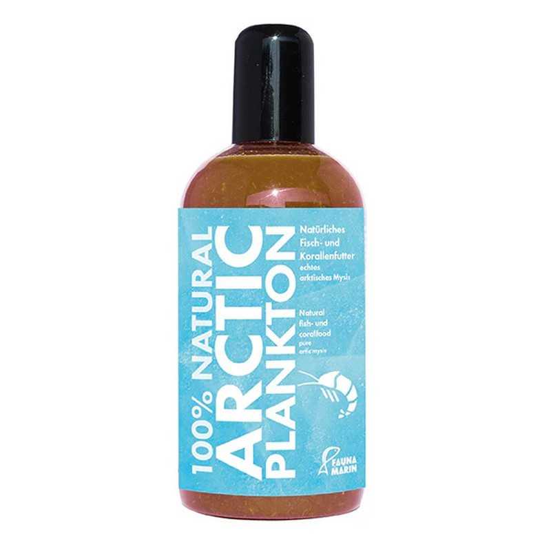 Arctic Plankton Fauna Marin