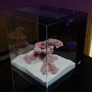 Nano Tank 91 litros AF.