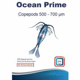 Ocean prime copepods 500-700 micras