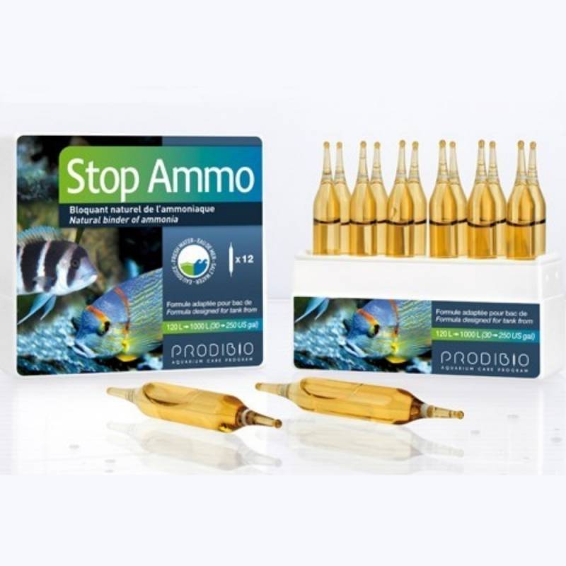 STOP AMMO 12 ampollas Prodibio