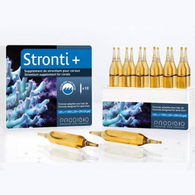 STRONTI + de 12 ampollas Prodibio