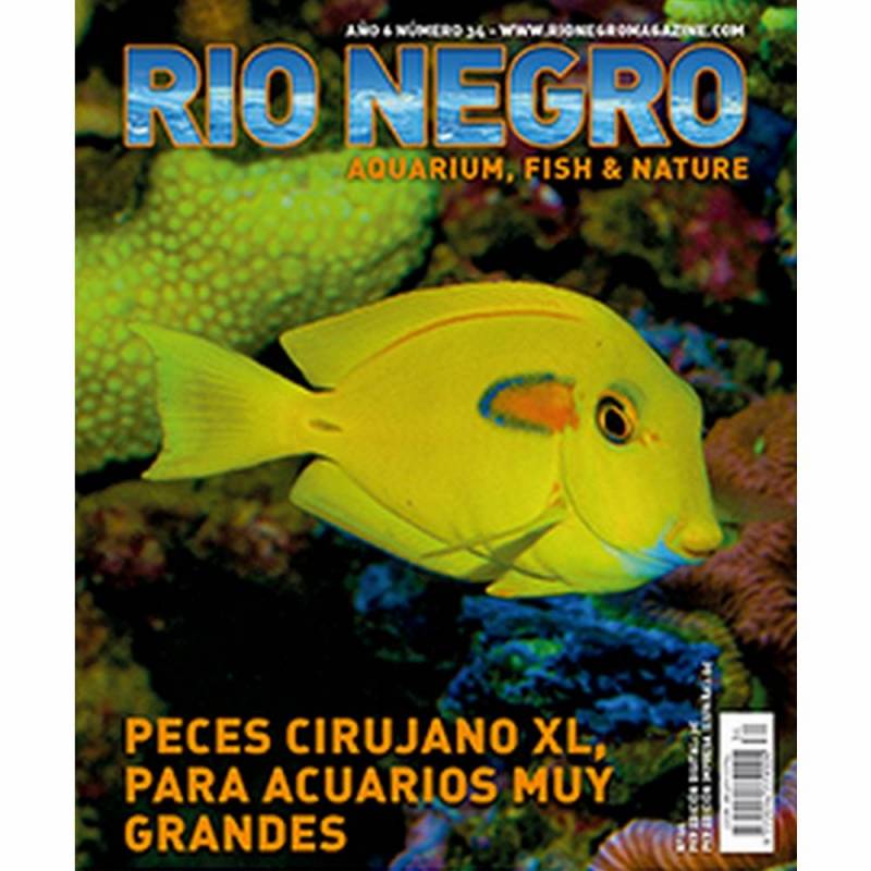 Rio Negro nº 34