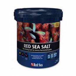 Sal Red Sea