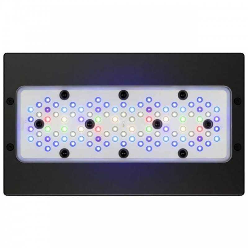 Radion XR30w G6 BLUE LED LIGHTING