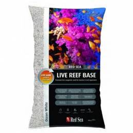 Live Reef White 10kg Red Sea