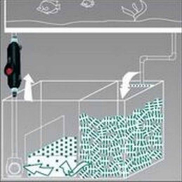 Heater externo HYDOR