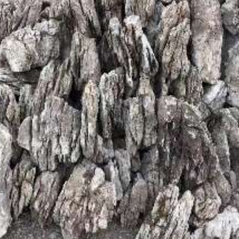 Roca Seiryu Stone GREY 10kg.