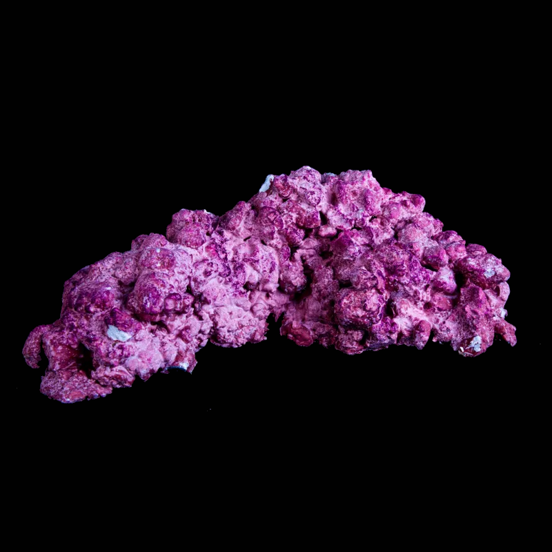 Rock Base, Aquaforest Rock Base, Aquaforest
