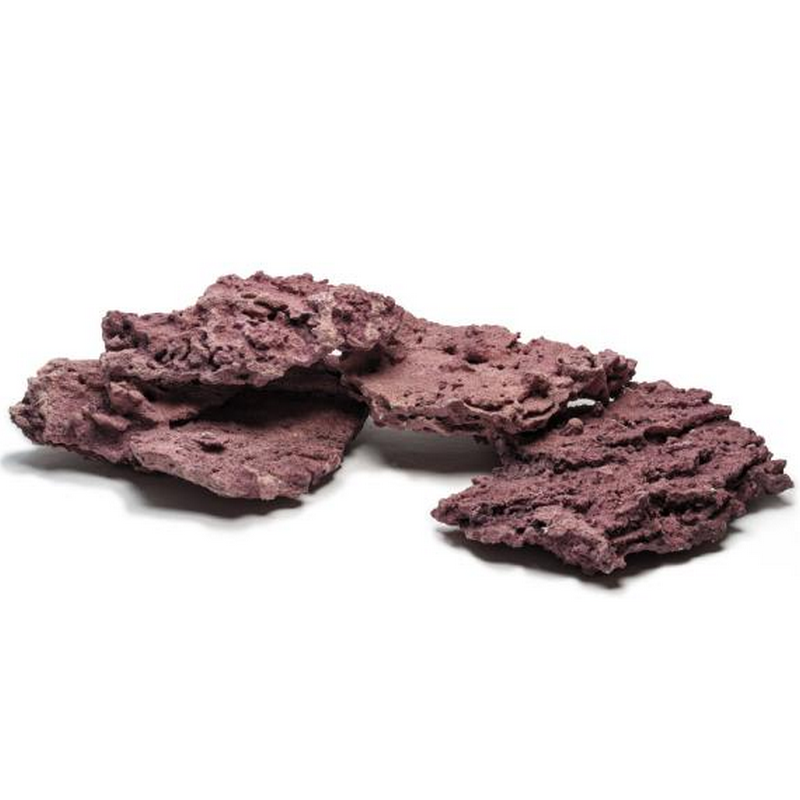 D-D, MARCO CORALLINE ROCK