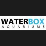 WaterBox agua dulce