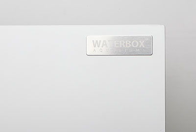 waterbox%208.jpg