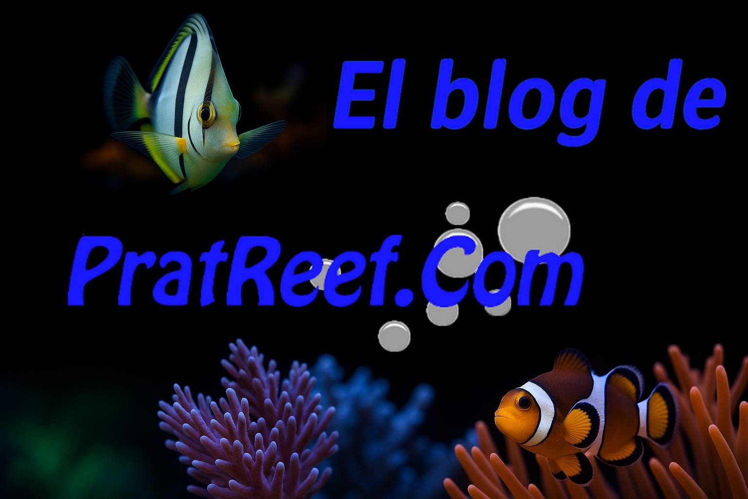 Blog PratReef