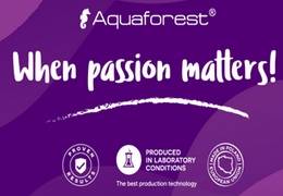 Así se hace la sal de Aquaforest
