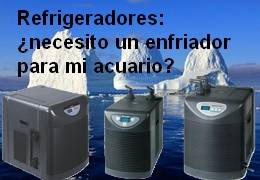 Refrigeradores: ¿necesito un enfriador para mi acuario?