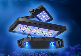 Cómo elegir la iluminación adecuada