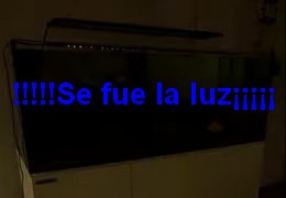La tranquilidad que tu acuario necesita cuando se va la luz