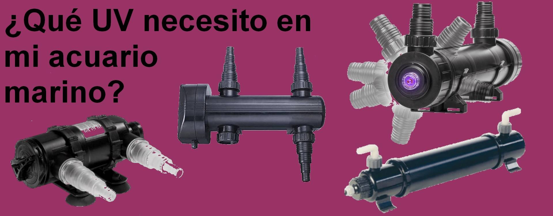 ¿Qué UV necesito en mi acuario marino?
