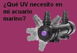 ¿Qué UV necesito en mi acuario marino?