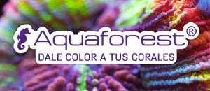 Aquaforest