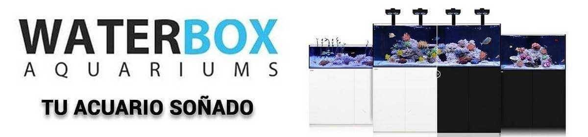 WaterBox