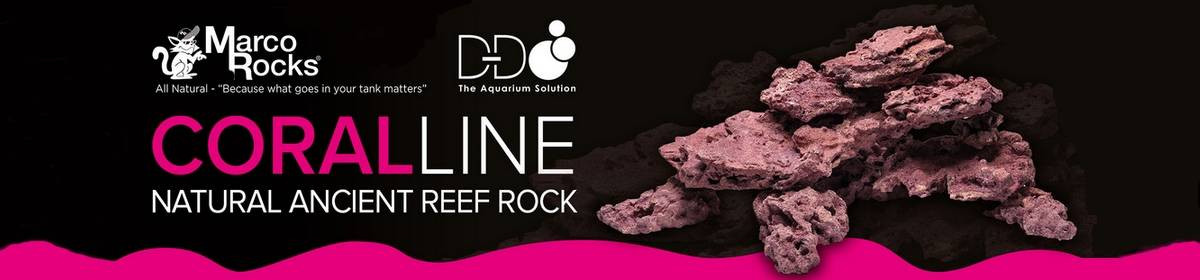 Marco Rock Coralline DD